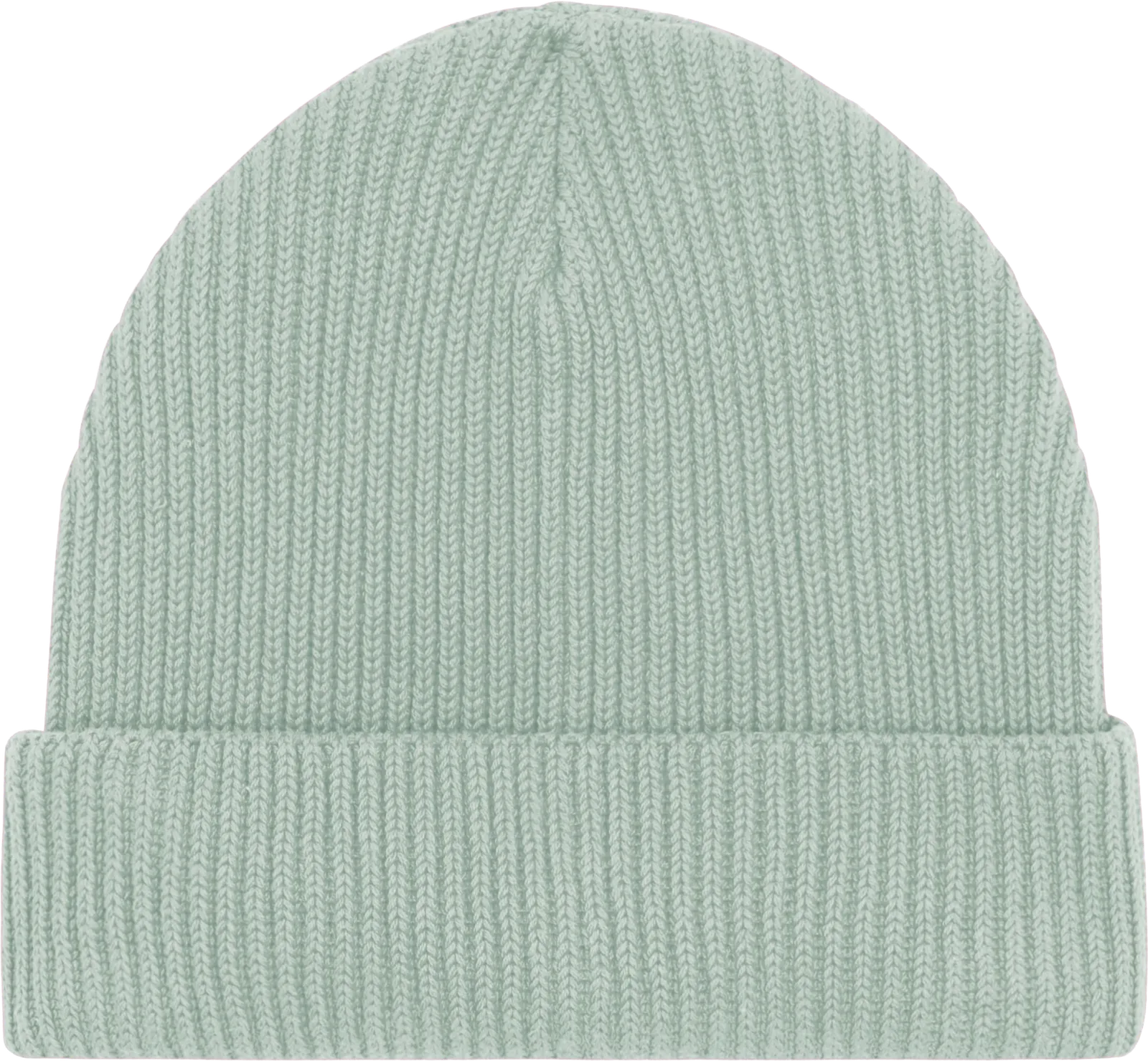 stau771 aloe f